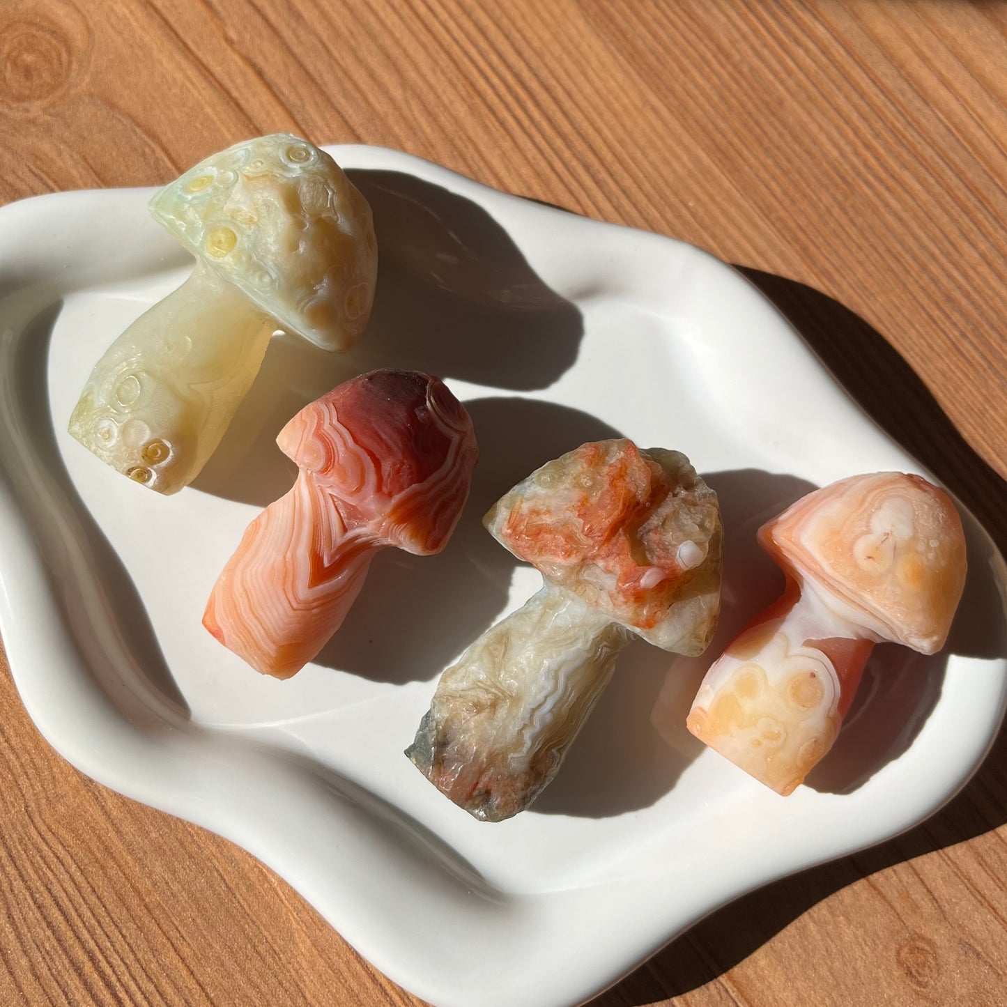 Funghi in agata del Gobi