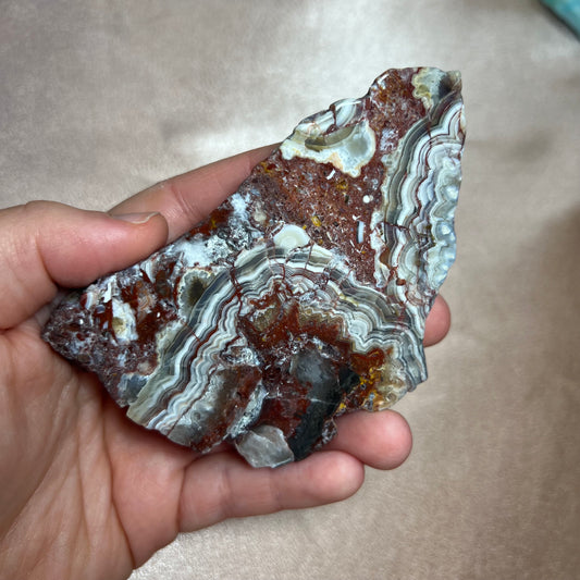 Agata messicana o crazy lace