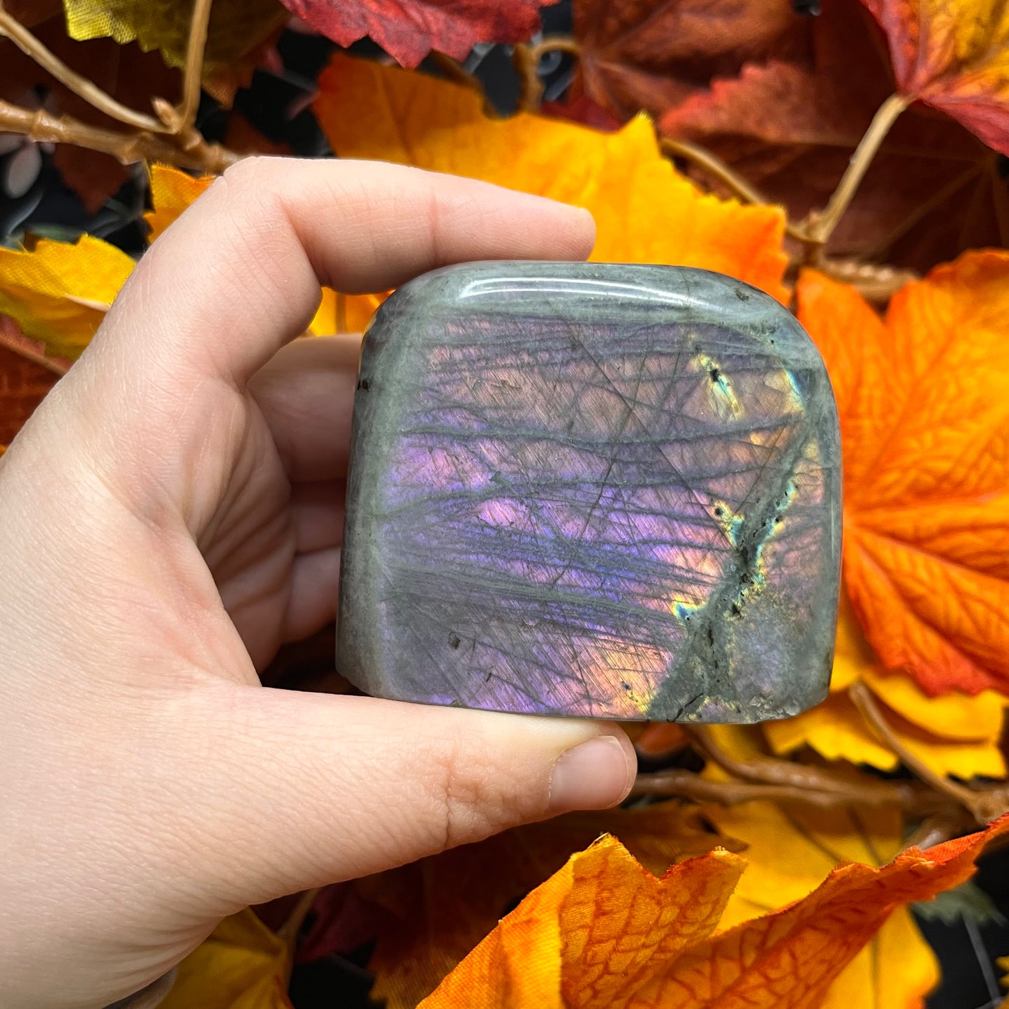 Freeform in labradorite