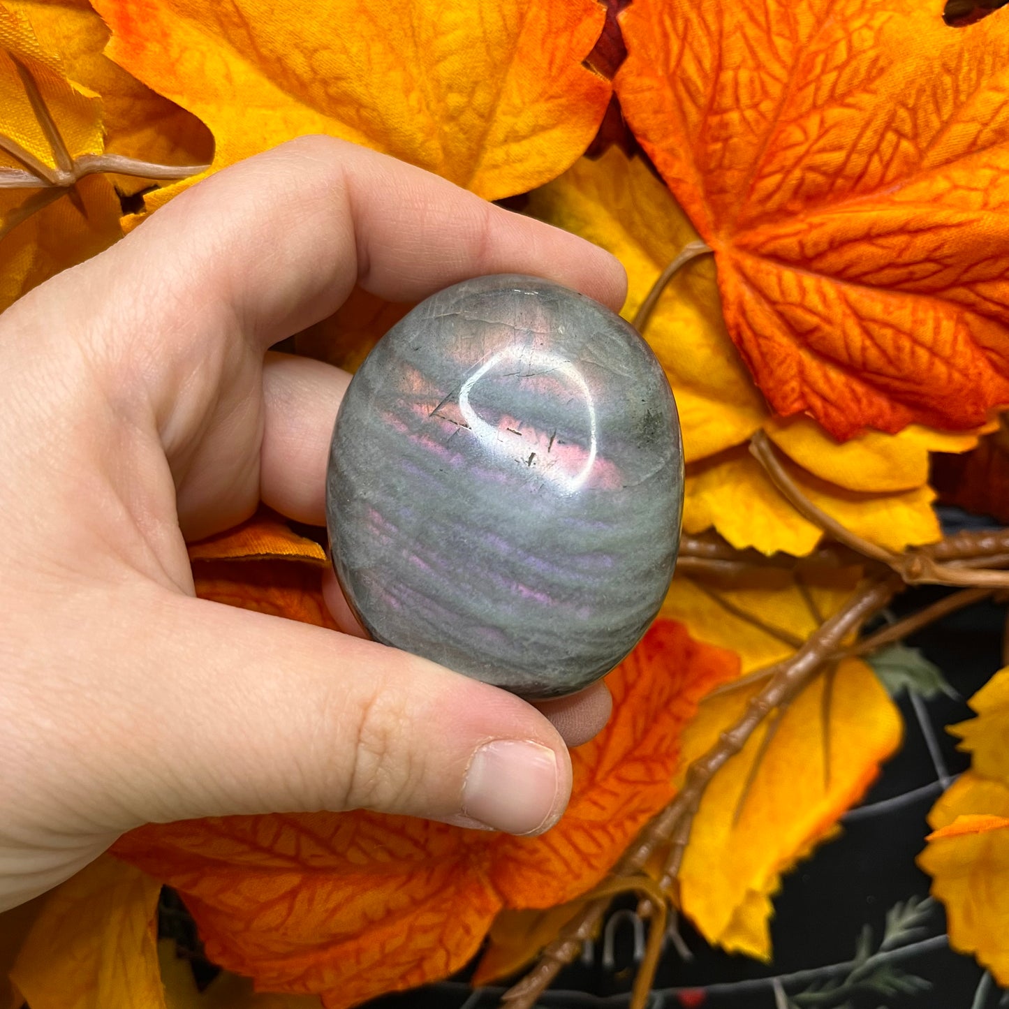 Palmstone in labradorite