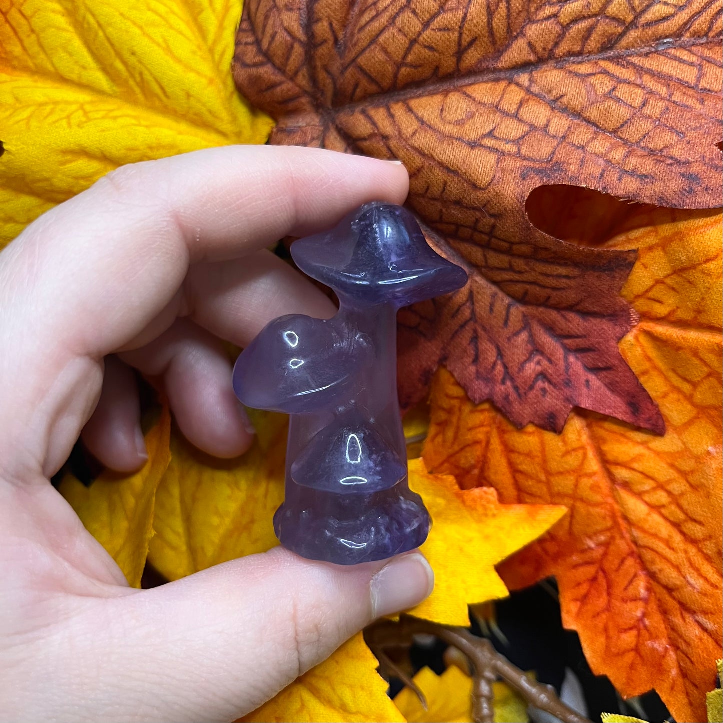 Fungo in fluorite viola