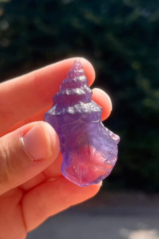 Conchiglia in fluorite viola