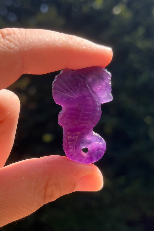 Cavalluccio in fluorite