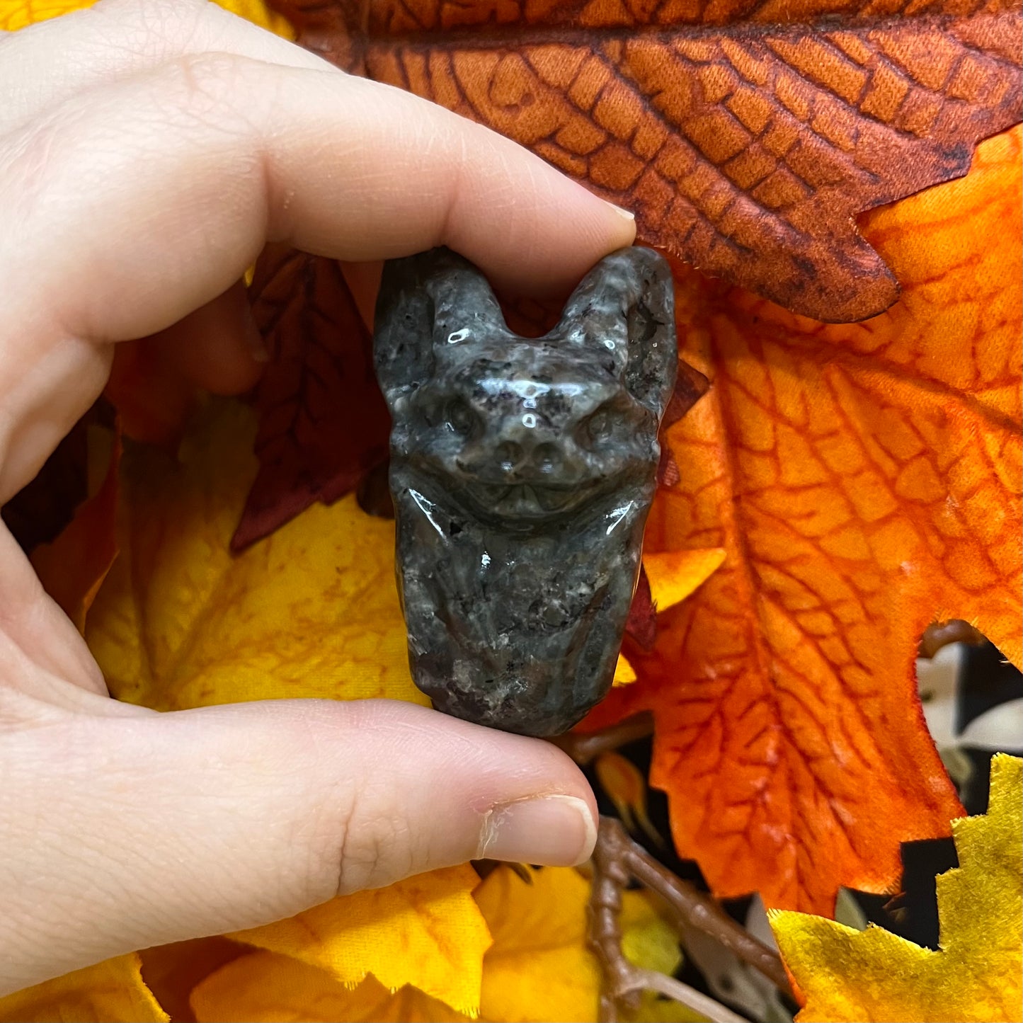 Pipistrelli taglia L in diversi materiali