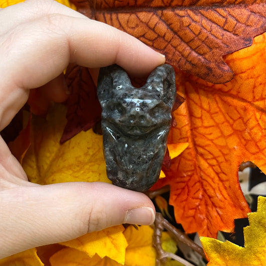 Pipistrelli taglia L in diversi materiali