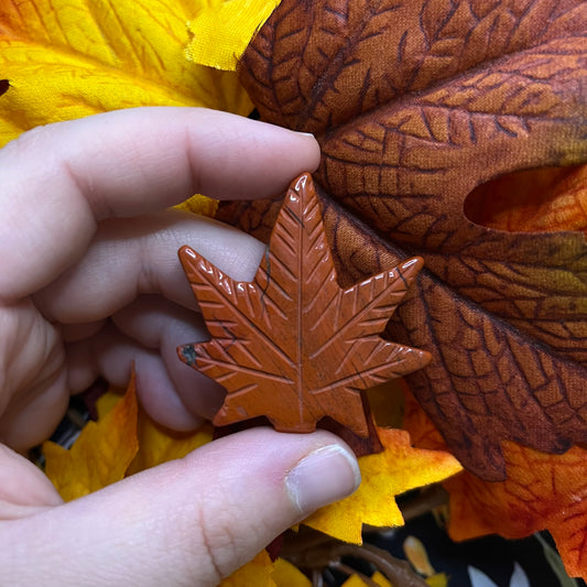 Foglia autunnale in diversi materiali
