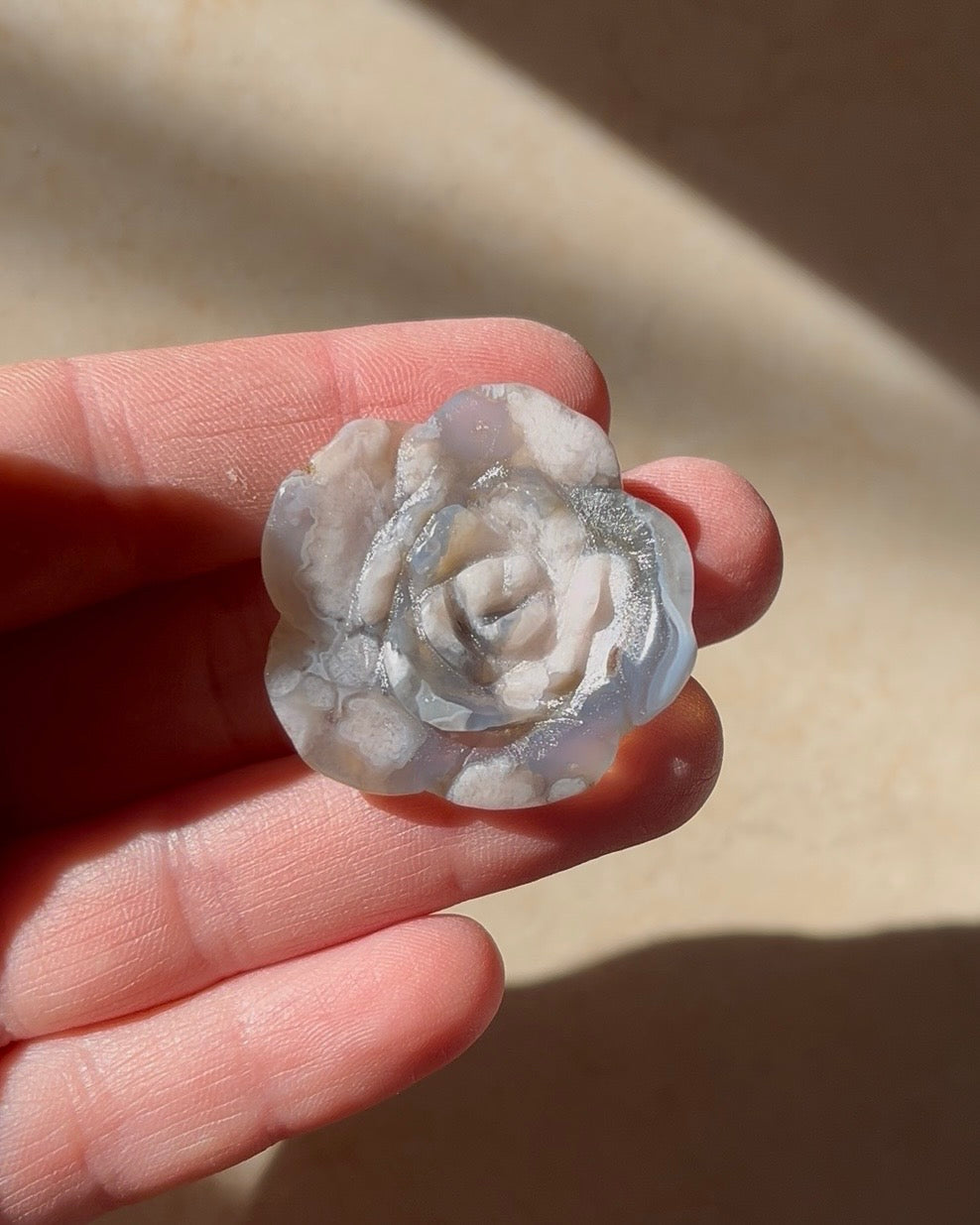 Rosa in agata sakura nera