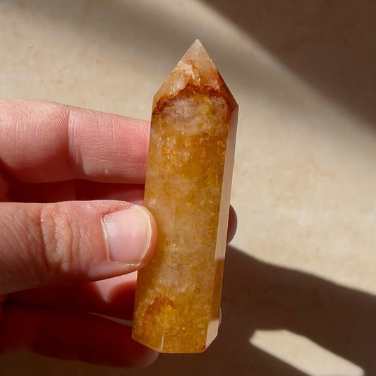 Torri in golden healer