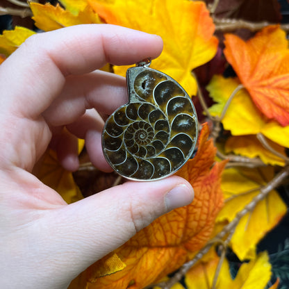Ciondolo in argento 925 con ammonite fossile