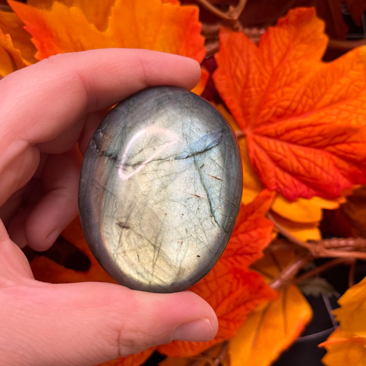 Palmstone in labradorite