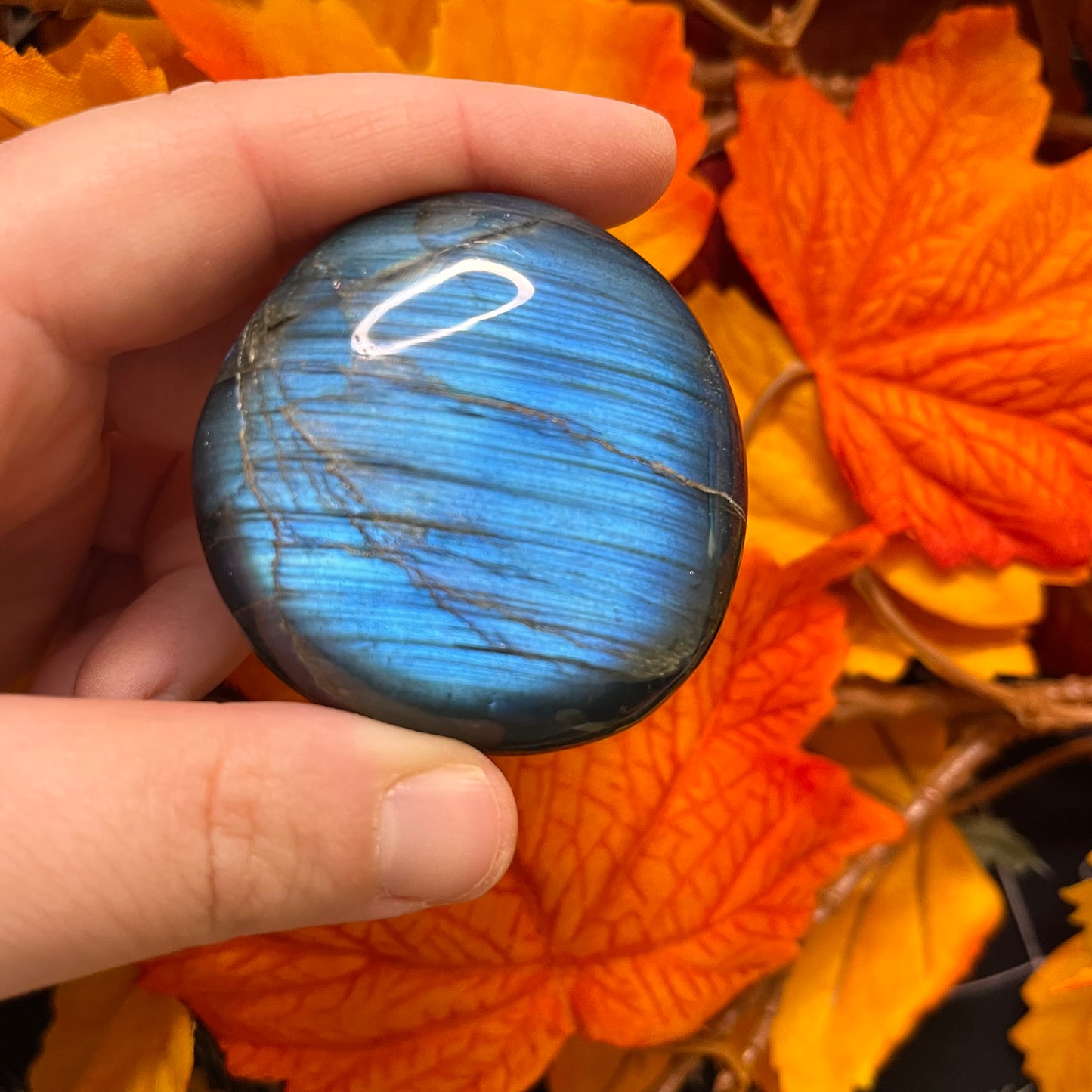 Palmstone in labradorite