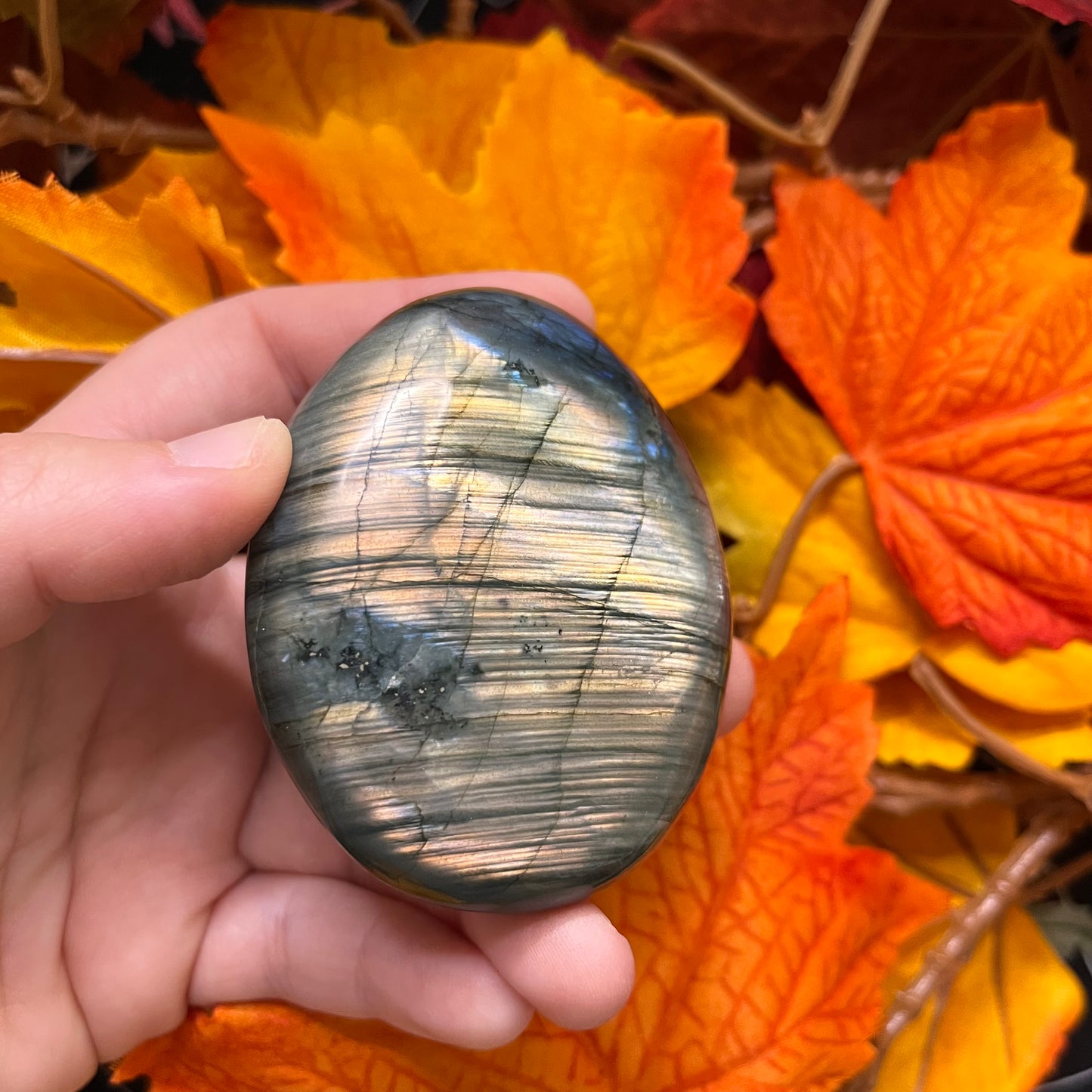 Palmstone in labradorite