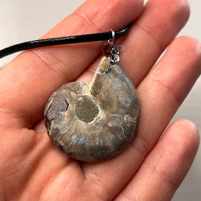 Collana con ammonite fossile