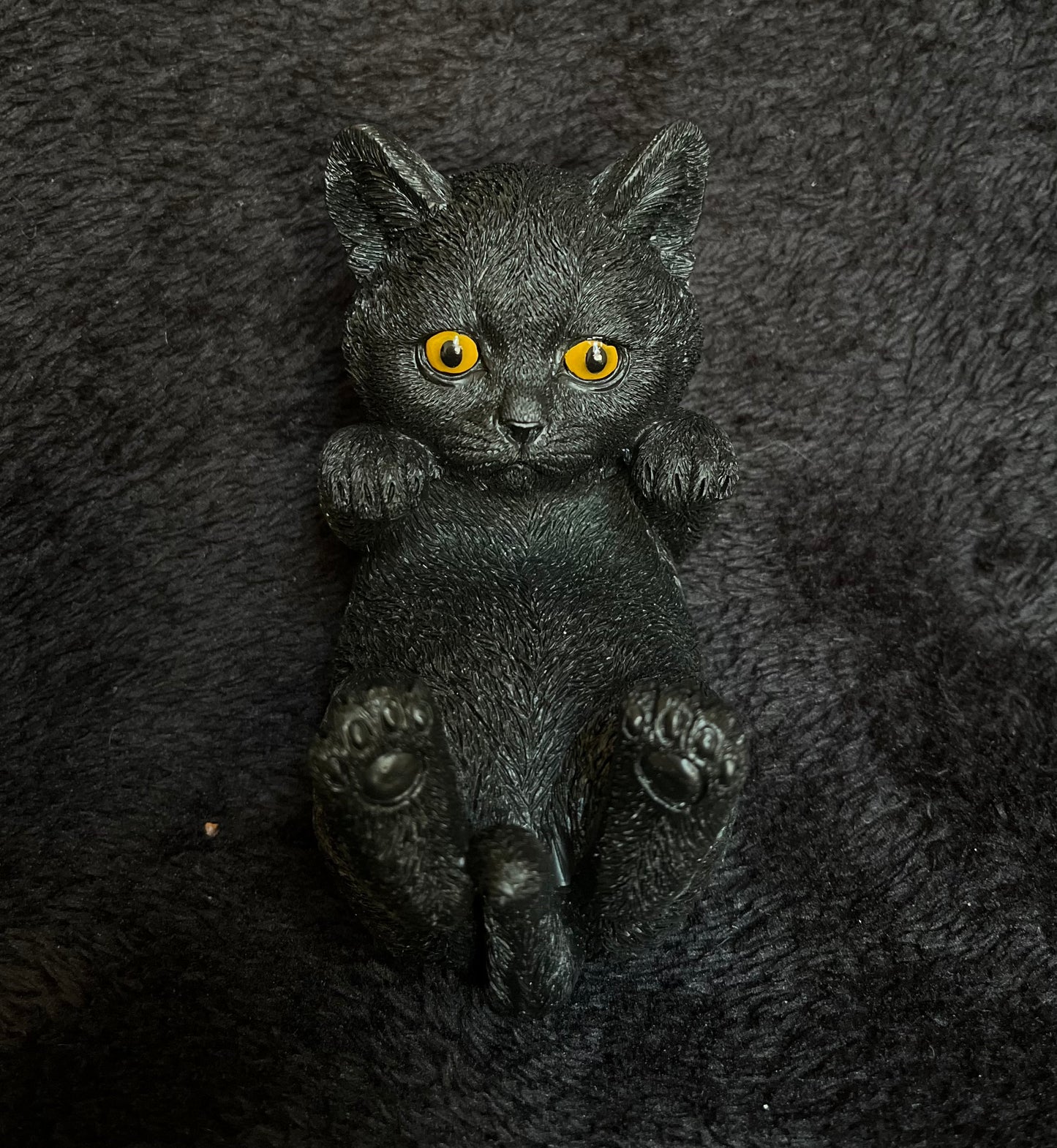 Gatto porta telefono