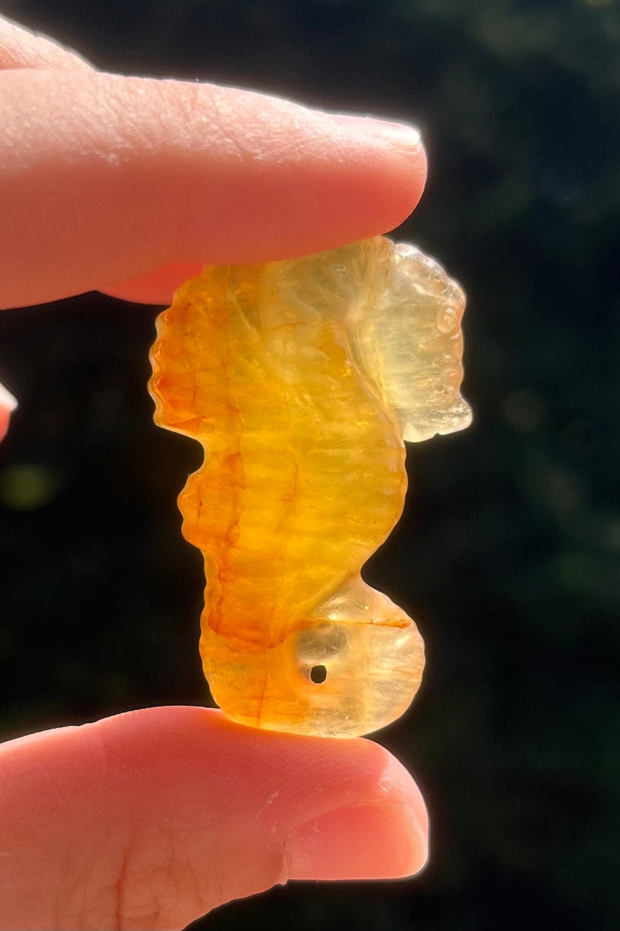 Cavalluccio in fluorite