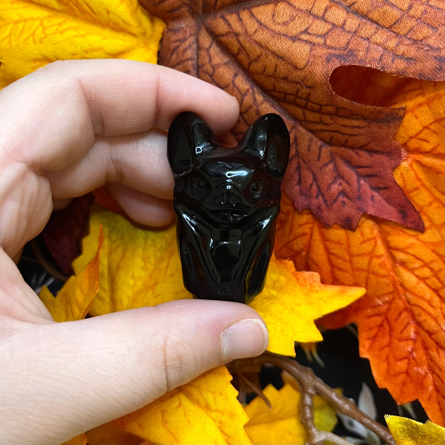 Pipistrelli taglia L in diversi materiali